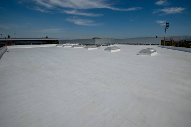 Best 4 Ply Roofing  in Hartford, MI