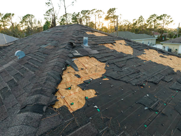 Best Asphalt Shingle Roofing  in Hartford, MI
